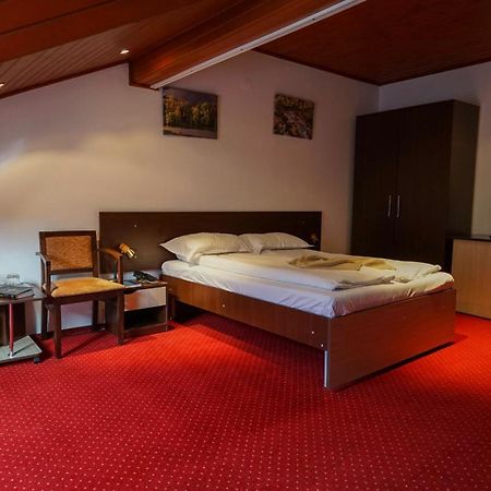 Hotel Vila Trandafirul Si Liliacul Caciulata Zewnętrze zdjęcie