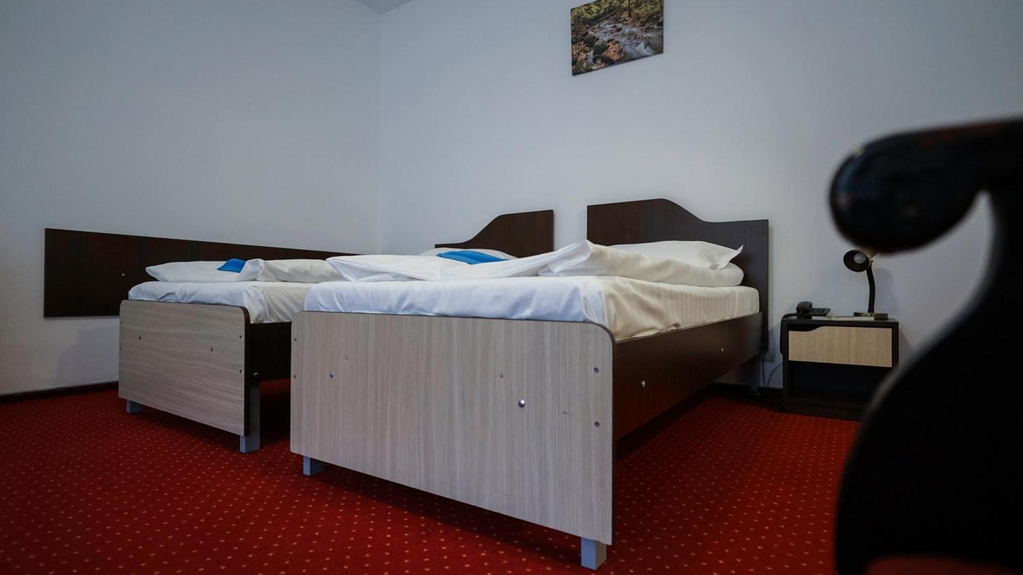 Hotel Vila Trandafirul Si Liliacul Caciulata Zewnętrze zdjęcie