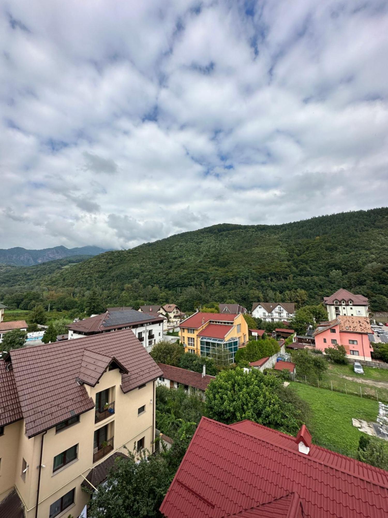 Hotel Vila Trandafirul Si Liliacul Caciulata Zewnętrze zdjęcie